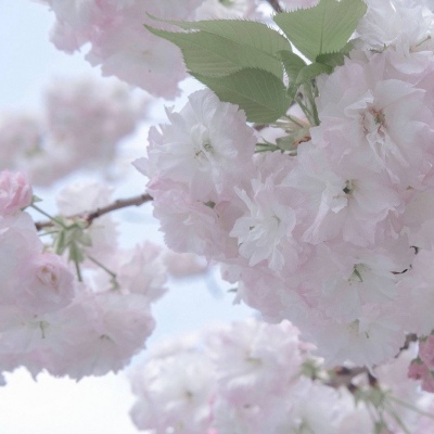 Furry绘画光影灵感FurryQQ群